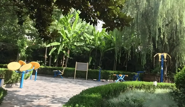 本科深圳入户条件2025新规定_姜文生涯唯一失败作品？且慢 “老来乐心的服务”贴